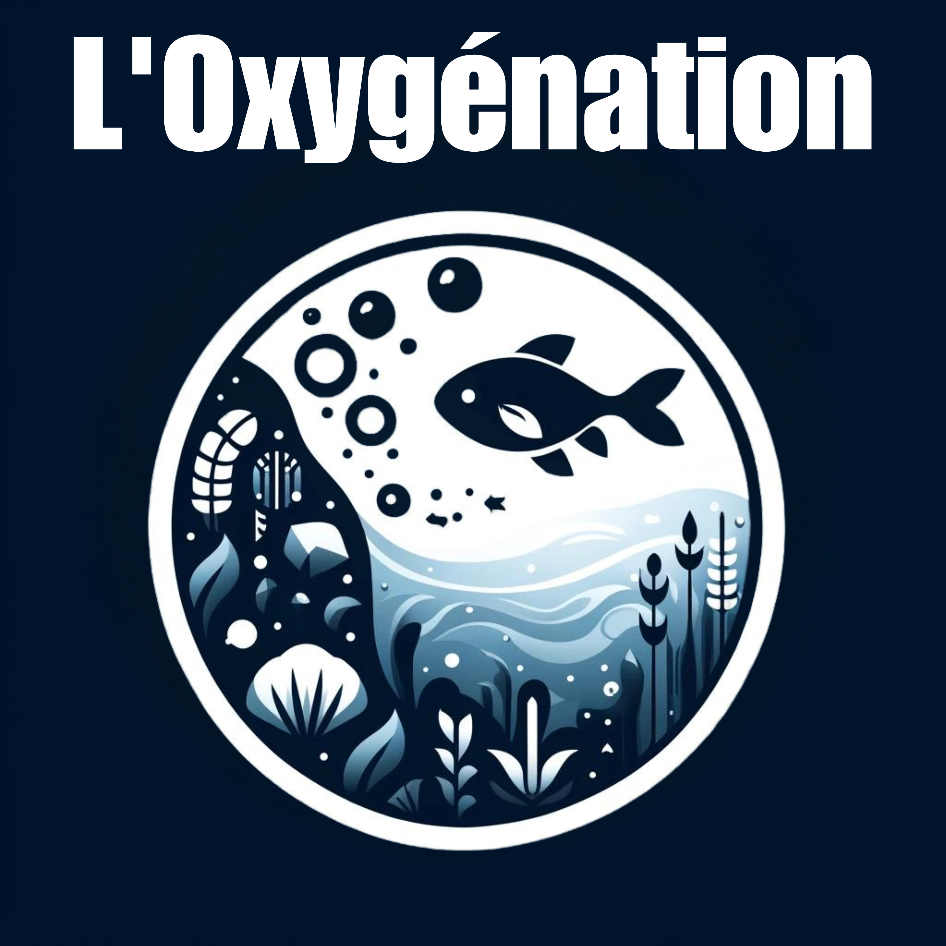 L'Oxygène, Clé d'un Aquarium Sain