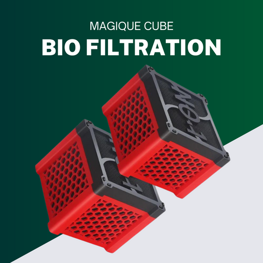 Purificateur d'eau - Magique Cube