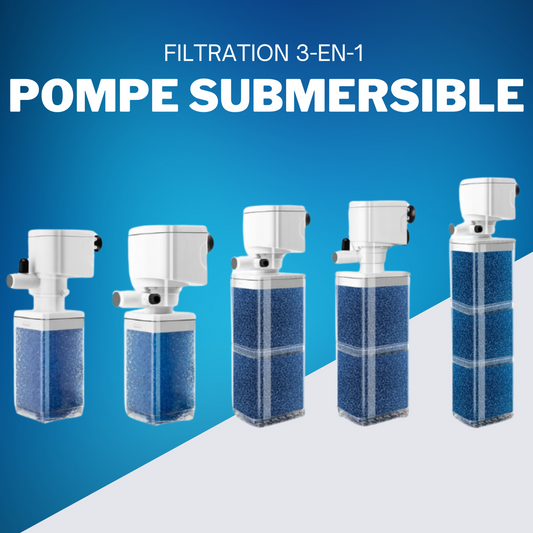 Pompe Filtration 3-en-1