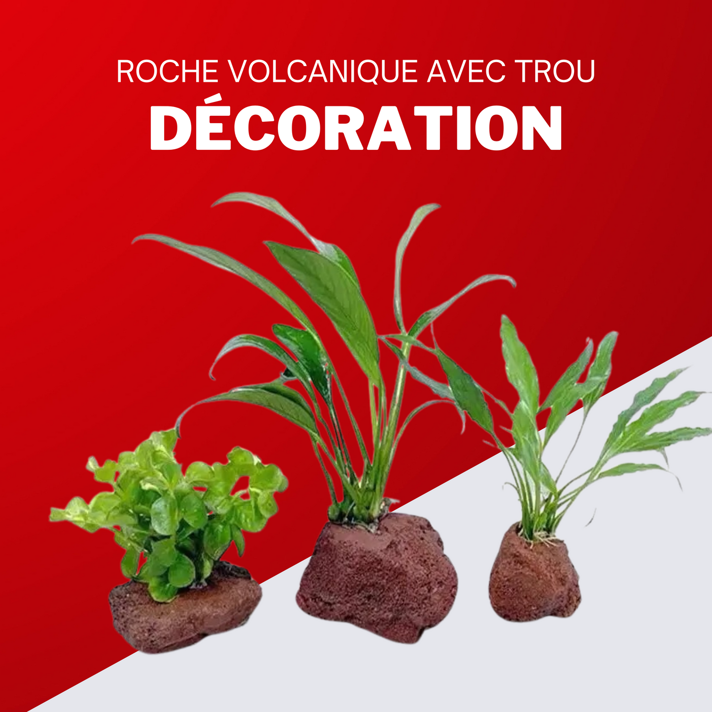 Roche volcanique avec trou