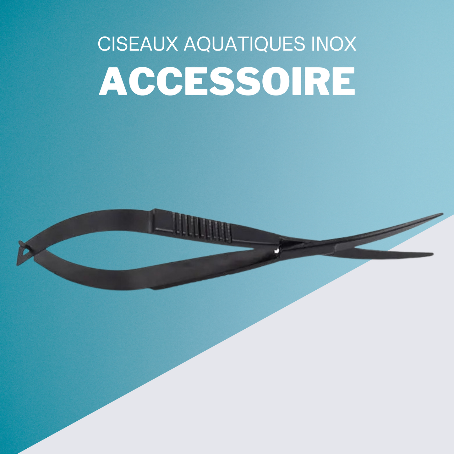 Ciseaux Aquatiques Inox