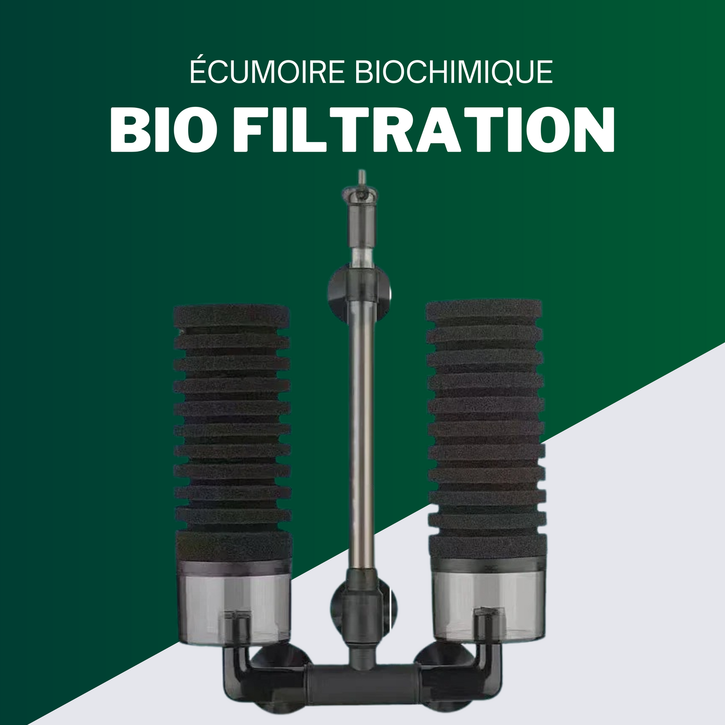 Écumoire biochimique