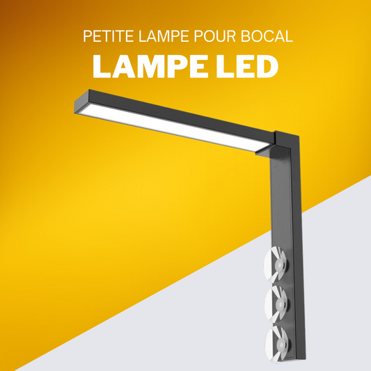 Petite lampe pour bocal