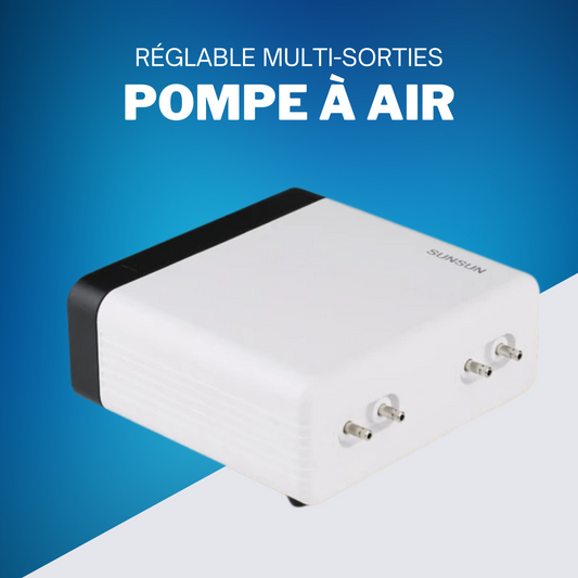 Pompe à Air Réglable Multi-Sorties